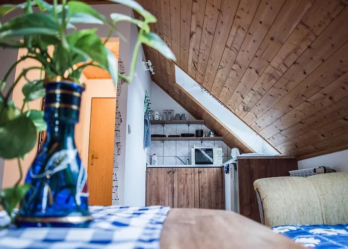 U Lupiku Pensionat 3*