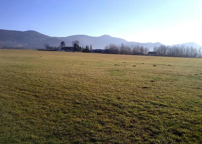 U Lupiku Pensionat 3*